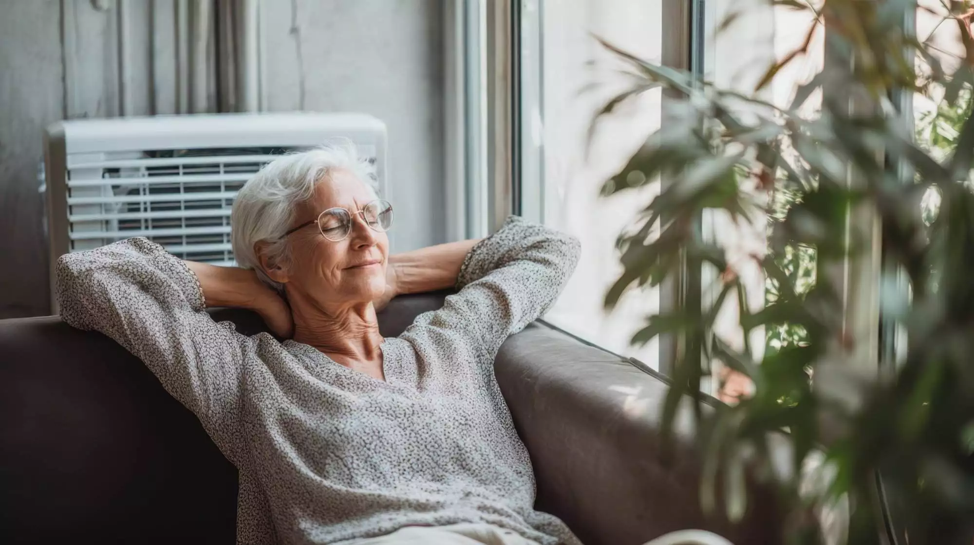 Honoring Comfort & Care: National Senior Citizens Day